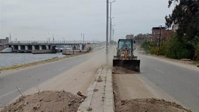 حملات مكثفة للنظافة في قرى دمياط ..صور
