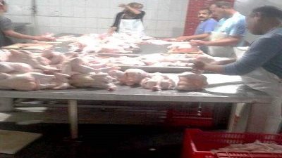 بيطرى الشرقية يحرر محضرى مخالفة لمجزر دواجن ومحل جزارة