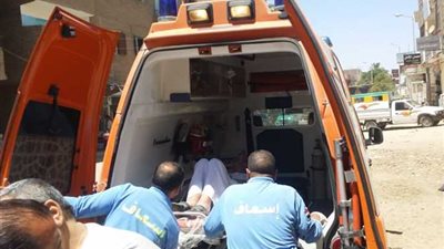 مصرع فلاح تصادف وقوفه علي الطريق اثناء حادث تصادم بالدقهلية