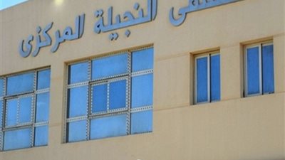 سيارة مسرعة تقتل طفلين بالنجيلة غرب مطروح