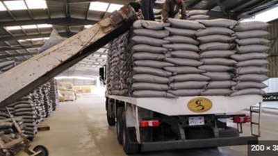الزراعة.. استمرار العمل بمحطات الإعداد و الغربلة للتقاوي على مستوى الجمهورية فى أيام العطلات