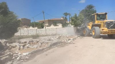 ازالة بناء مخالف وحملة نظافة بالعامرية في الاسكندرية..صور
