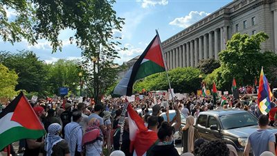مظاهرات هائلة فى أمريكا الشمالية تضامنا مع فلسطين
