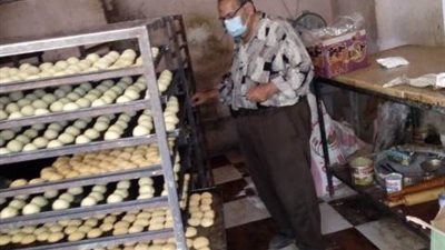 اعدام طن ونصف أغذية فاسدة وغلق ٢٠ منشأة غذائية مخالفة بالحسينية وأولادصقر والقنايات