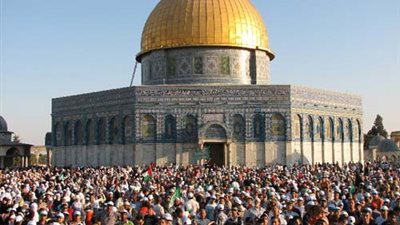 مندوب فلسطين بالأمم المتحدة: مصر في طليعة الأطراف الساعية لوقف العدوان.. فيديو