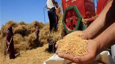 فيديو.. غانم: إغلاق موسم توريد القمح ١٥ يوليو المقبل