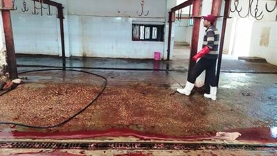 صحة مطروح تتابع اشتراطات الجبانات والمجزر.. بالصور