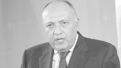 الخارجية: مصر تؤكد رفضها أي إجراءات أحادية أثيوبية بشأن سد النهضة