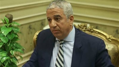 رئيس خارجية النواب: الإشادات الدولية بجهود مصر للتهدئة تجسيد لمقومات الزعامة والسياسة المصرية