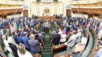 جمعة : 50 مليون جنيه لتوفير أدوية ومستلزمات طبية وسلع غذائية لأهالي غزة