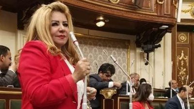 النائبه امال رزق الله: قانون الحد الأدنى للعلاوة يتماشي مع توجهات القيادة السياسية..