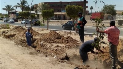 رئيس مدينة مرسى مطروح: رفع كفاءة الشواطئ ورصف منطقة ريم وتشجير الجزيرة.. بالصور
