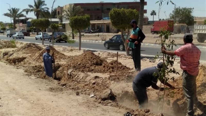 بوابة الجمهورية