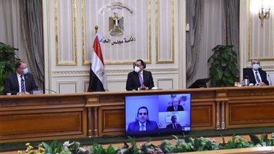 مدبولي يوافق على مشروع إنشاء مصنع للأمونيا الخضراء