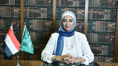 النائبة أميرة أبوشقة: إعلان مصر خالية من العشوائيات انجاز جديد للدولة المصرية