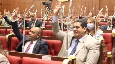 النائبان وليد التمامي ومحمد أبو حجازي يعلنان تأييدهم لمشروع قانون صندوق الطوارئ الطبية