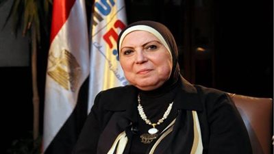 وزيرة الصناعة: نسعى لتقديم خدمات متميزة للمستثمرين الصناعيين