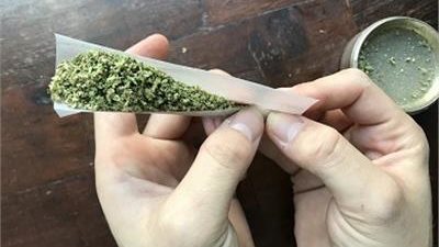 جنايات الاسماعيلية :١٥ سنةسجن لمتهمين زرعا البانجو في ٤ قراريط يملكها ١٨ وريثاً