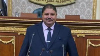 رئيس تضامن النواب : علينا إبراز الإنجازات لمواجهة أعداء الوطن والمتربصين