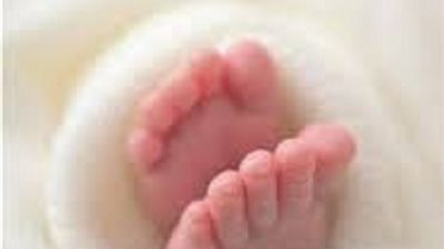 ما هى طريقة توزيع العقيقة ؟....الافتاء تجيب