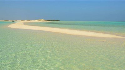 تعرف على مواعيد تحصيل رسوم زيارة محميات البحرالأحمر