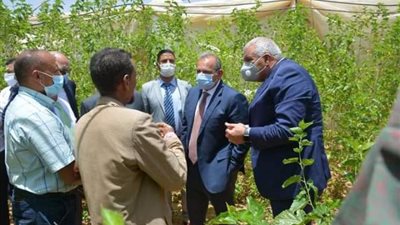 الزملوط وعكاشة يتفقدان مشروعات إنتاج الحرير.صور