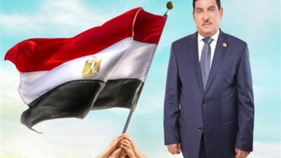 النائب حمدى سعد يطالب بسرعة صيانة كشافات الإنارة في مركز نقادة
