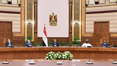 رئيس المحكمة الدستورية العليا: رعاية الرئيس لمؤتمر «المحاكم الدستورية والعليا الأفريقية» تعد شرفًا كبيرًا