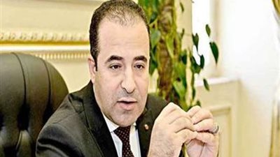 بدوي : رفع كفاءة الانترنت وربط القرى بالالياف الضوئية