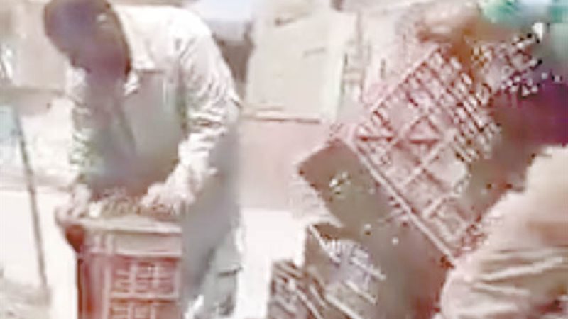 بوابة الجمهورية