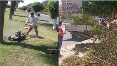 رفع كفائة الحدائق العامة وتنسيق المحاور الزراعية بمدينة العاشر