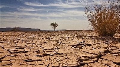 فى اليوم العالمى لمكافحة التصحروالجفاف.. استعادة الأراضي المتدهورة يمثل أهمية اقتصادية كبرى