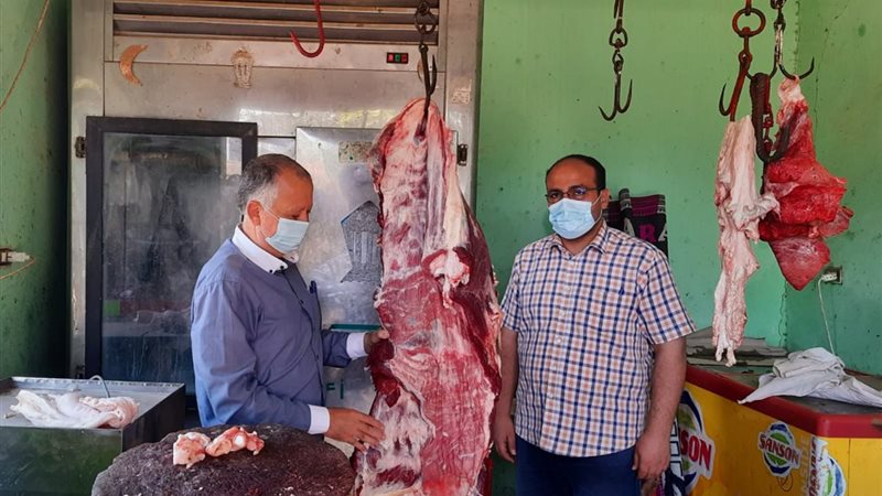 الحملة التموينية