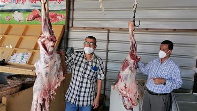 ضبط ٧٧ كيلو لحم جملي ذبح خارج المجزر بالشلاتين
