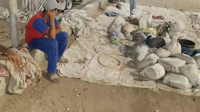 حملة لمتابعة تطبيق الإجراءات الإحترازية بمدينة البياضية جنوب الأقصر