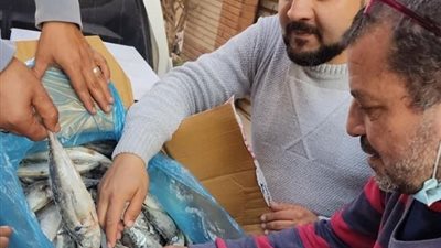 ضبط هياكل دواجن و