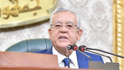 جبالى :القوات المسلحة و الشرطة يقومون بتطهير الوطن من خفافيش الظلام