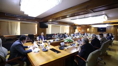 التعليم العالى: إنشاء فروع الجامعة المصرية للتعلم الإلكترونى الأهلية بالخارج