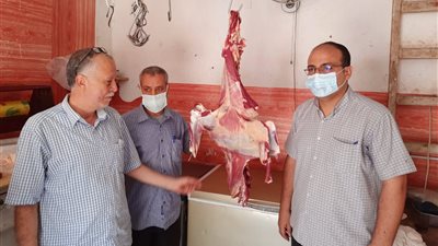ضبط ١٥ شيكارة دقيق مدعم ولحوم خارج السلخانة باجا بالدقهلية