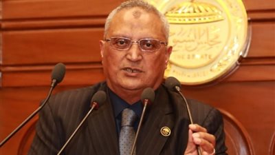 نائب: 3 يوليو تاريخ وضع خارطة الطريق بعد نجاح ثورة 30 يونيو