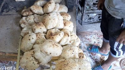 تحرير ٤٩ مخضر فى حملة تموينية موسعة بالزينية شمال الأقصر