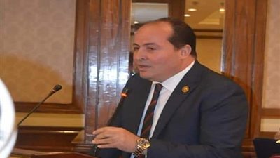 الشرقاوى: نستنكر تصرفات اثيوبيا وندعم تحركات القيادة السياسية المصرية لحل الأزمة