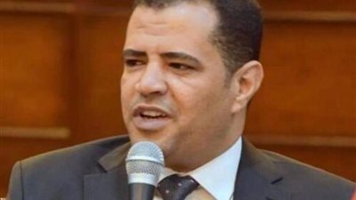 برلمانى يطالب بتفويض السيسي شعبيا لاتخاذ ما يلزم في قضية سد النهضة