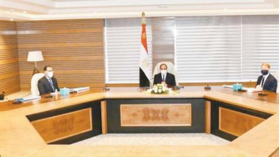 السيسي.. في لقائه بالرئيس التنفيذي لشركة 