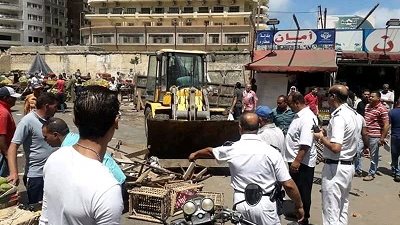 منع ميكروفونات البائعين وشوادر بيع الخراف بحى المنتزة