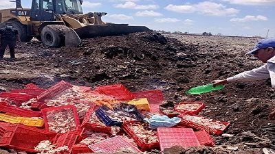 إعدام اطنان من الأغذية الفاسدة بكفرالشيخ قبل العيد
