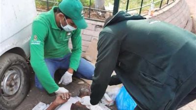 التضامن تكشف تفاصيل نشر وحدات متنقلة للتعامل مع الأطفال والكبار بلا مأوى خلال ايام العيد