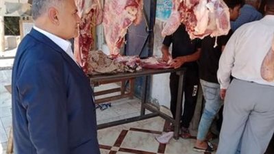 سكرتير محافظة الإسماعيلية يقود حملة مكبرة على المنافذ وشوادر اللحوم..صور