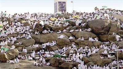 لبيك اللهم لبيك لبيك لاشريك لك لبيك.. تهز عرفات.. وتزلزل القلوب