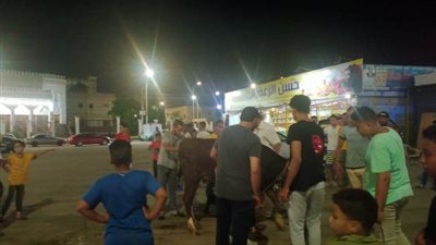 لحظة الإمساك بعجل هائج هرب من جزار في الإسماعيلية ليلة العيد ..فيديو وصور